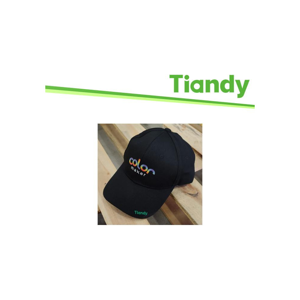 Tiandy Cappello con Logo