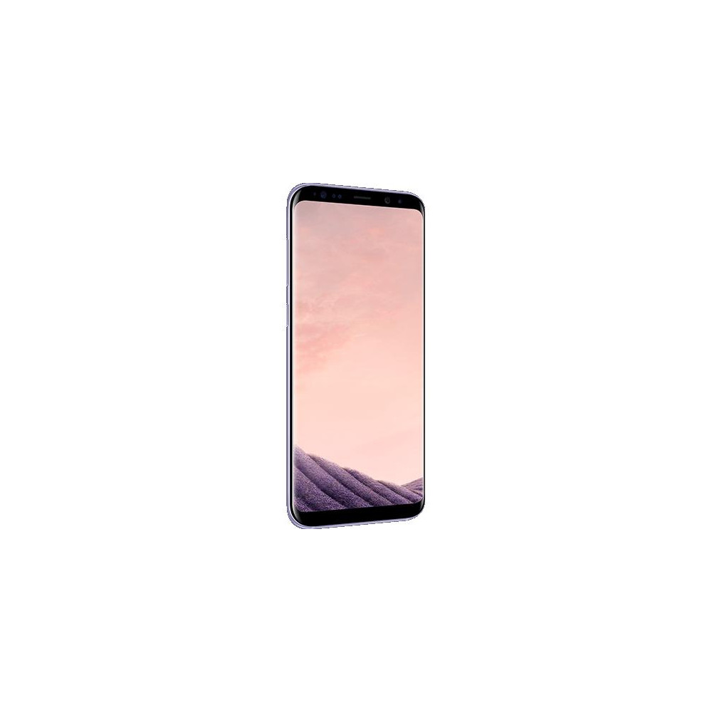 LCD Originale Samsung G955 Galaxy S8 PLUS Violet GH97-20470C