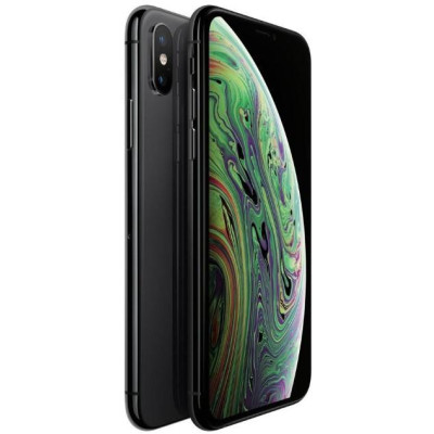 iPhone XS 512Gb Usato Grado A Garanzia 1 anno Grey